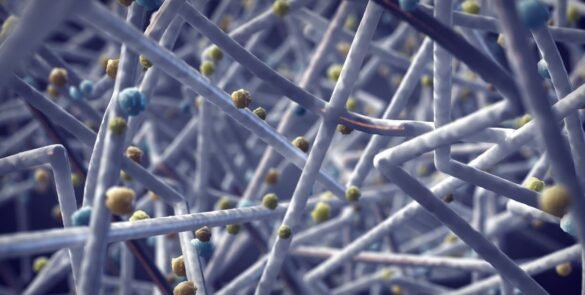 Advanced Modeling of Particle Flow Through Filters - Enhancing Filtration Efficiency