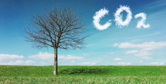 Understanding Carbon Sequestration Methods Benefits and Impact on Climate Change Mitigation