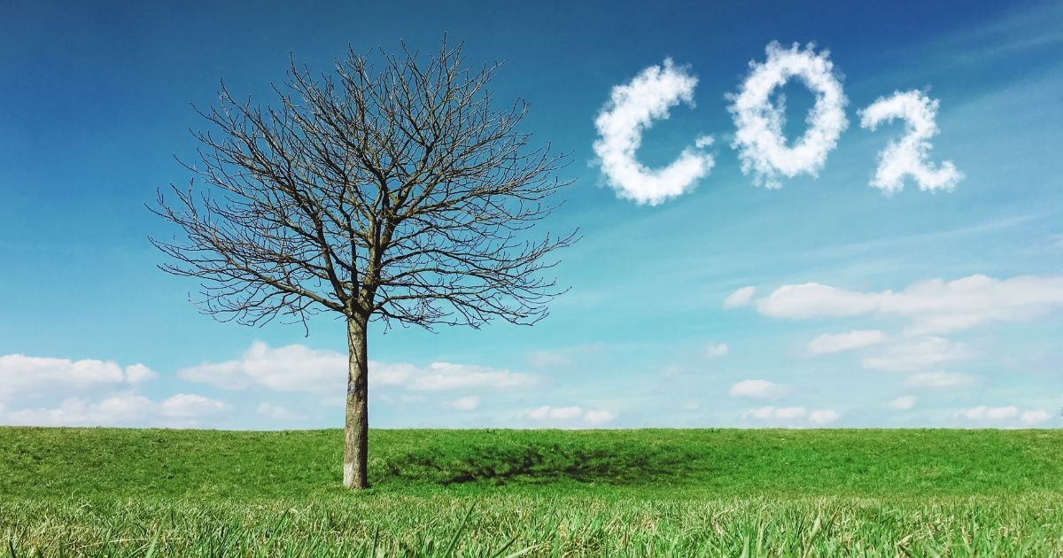 Understanding Carbon Sequestration Methods Benefits and Impact on Climate Change Mitigation